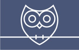 Sinceridade ou sincericídio?