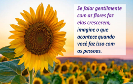 O poder das palavras na liderança